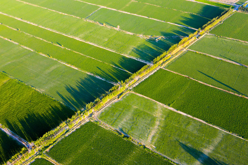 第四批国家现代农业产业园认定名单-摄图网